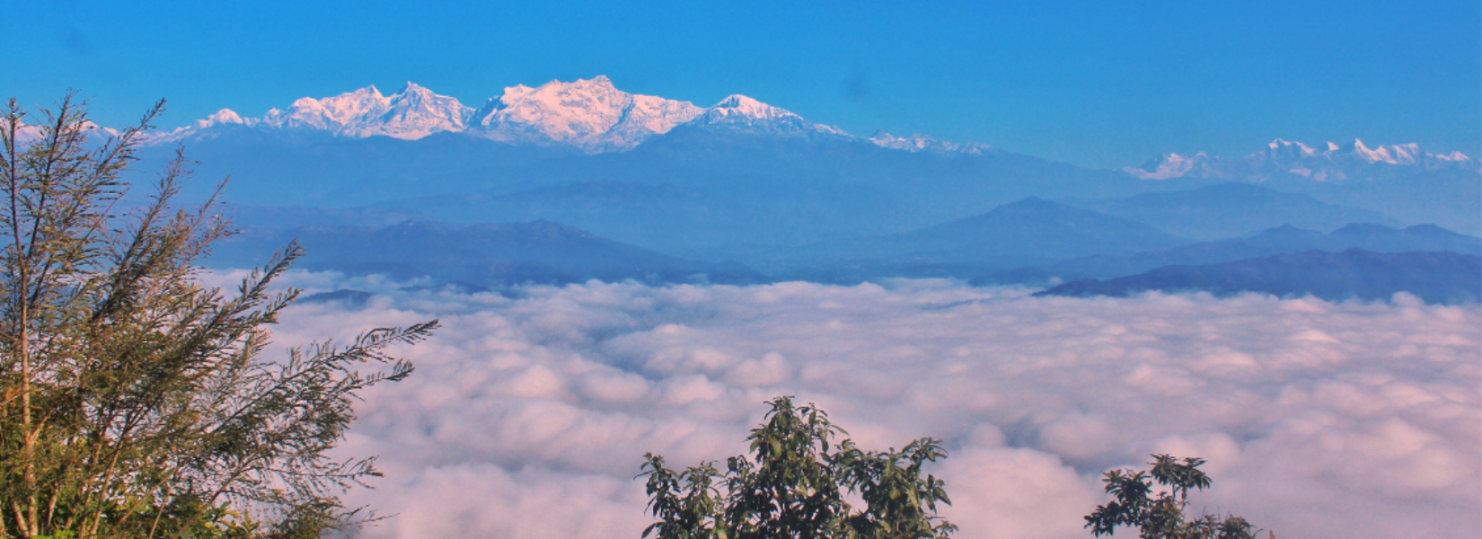 Bandipur Tour