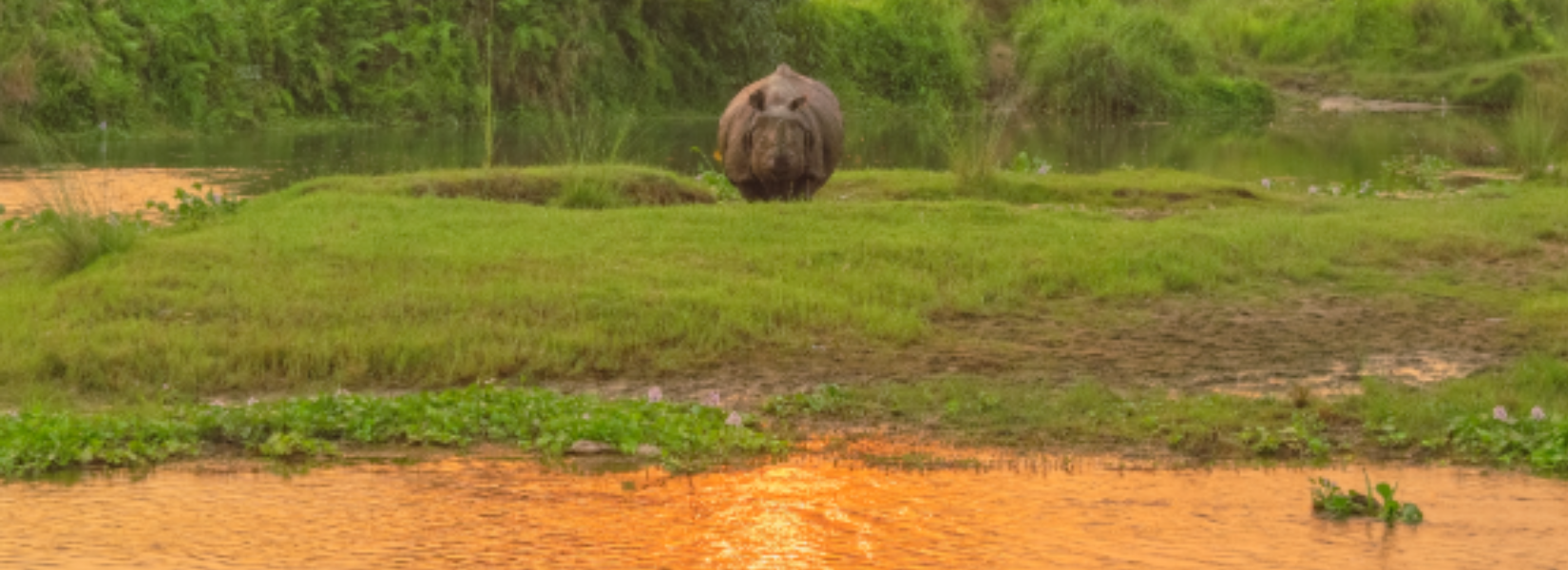 Chitwan National Park Captivating Tour