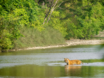 Bardia National Park Tour