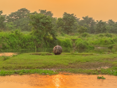 Chitwan National Park Captivating Tour