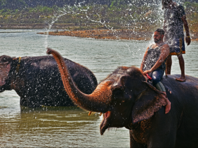 Chitwan National Park Tour